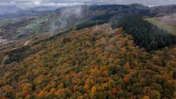 Perspective aérienne d'une forêt d'automne en montagne, où les arbres affichent des nuances éclatantes de rouge et d'orange.