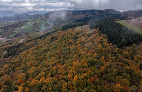 Perspective aérienne d'une forêt d'automne en montagne, où les arbres affichent des nuances éclatantes de rouge et d'orange.