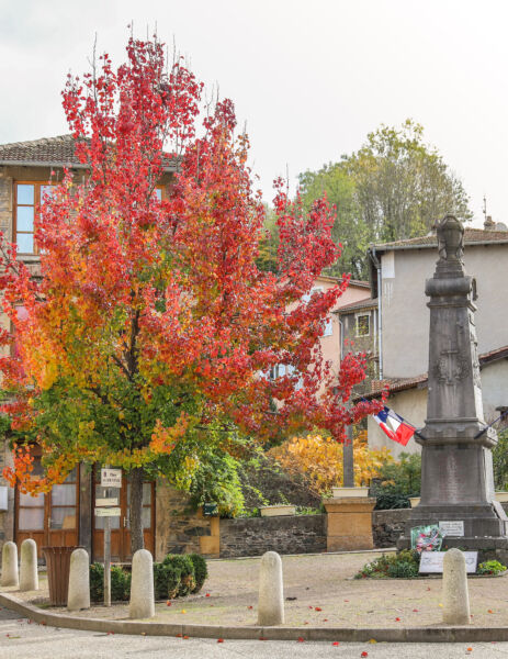 Monument aux morts