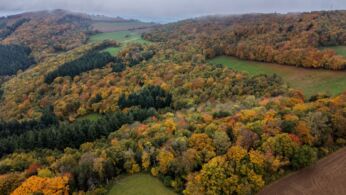 Vue aérienne d'une forêt d'automne colorée dans les montagnes, avec des arbres aux teintes dorées et rouges.