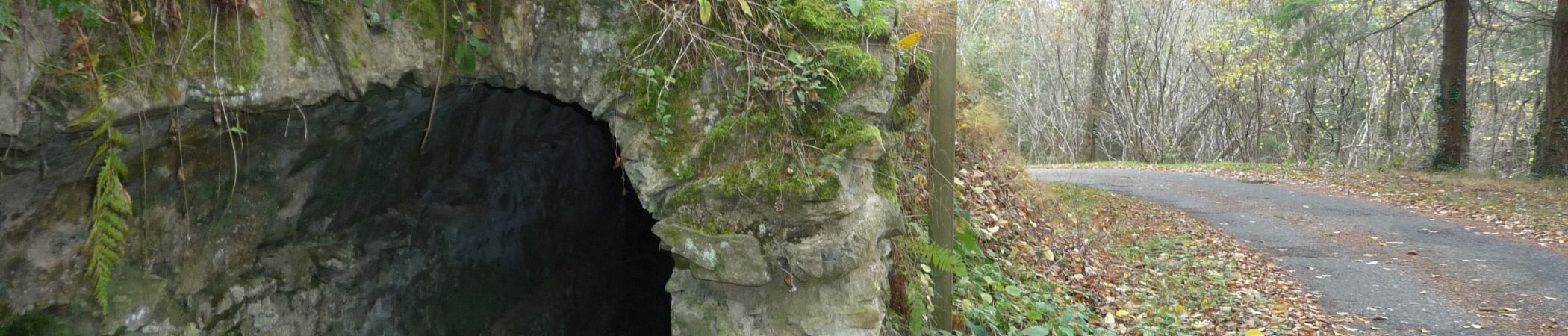 sentier de l'aqueduc courzieu (1)